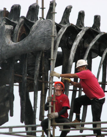 Service One Access systems step-up scaffold